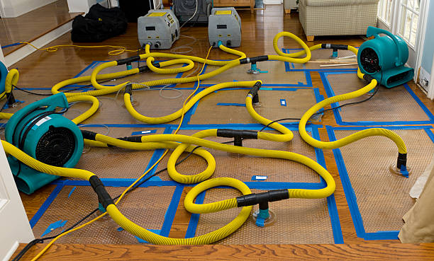 Professional Crawl Space Water Removal technician working in Ocean Grove, MA
